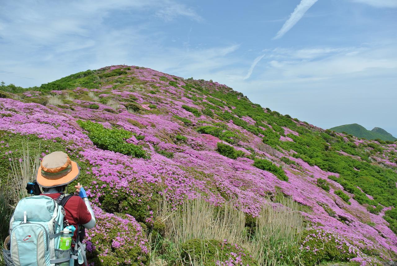 风之味住宿加早餐旅馆 南小国町 外观 照片